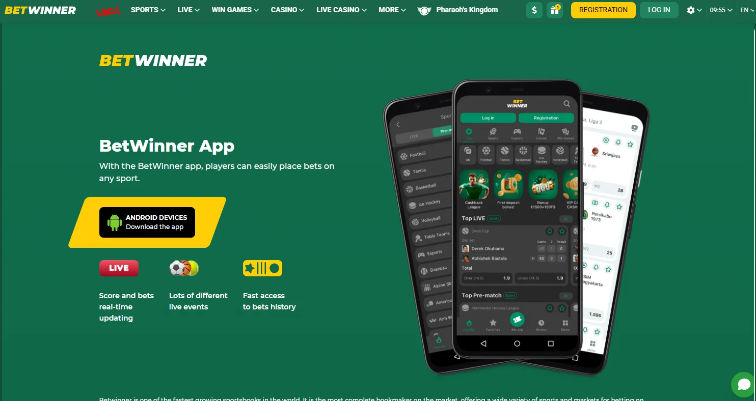 BetWinner mobile app experience