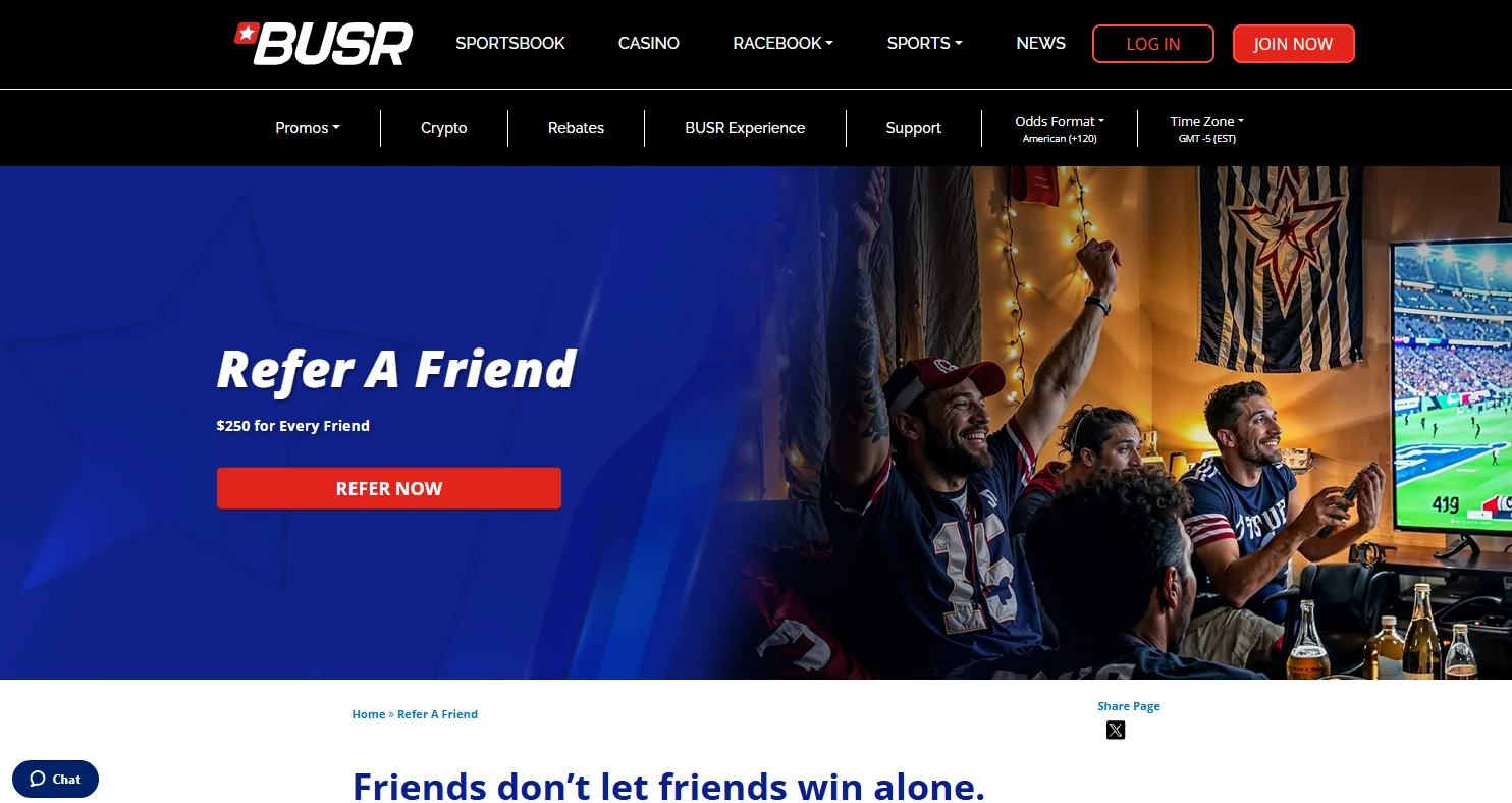 BUSR interface and user experience